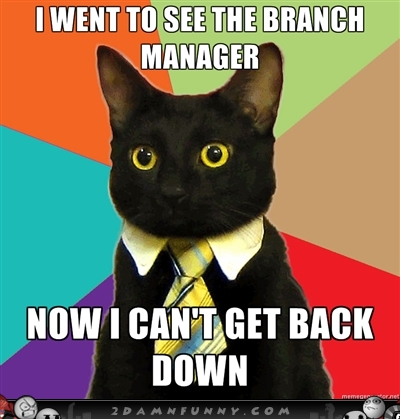 Business-Cat-Meme-Visits-The-Branch-Manager.jpg