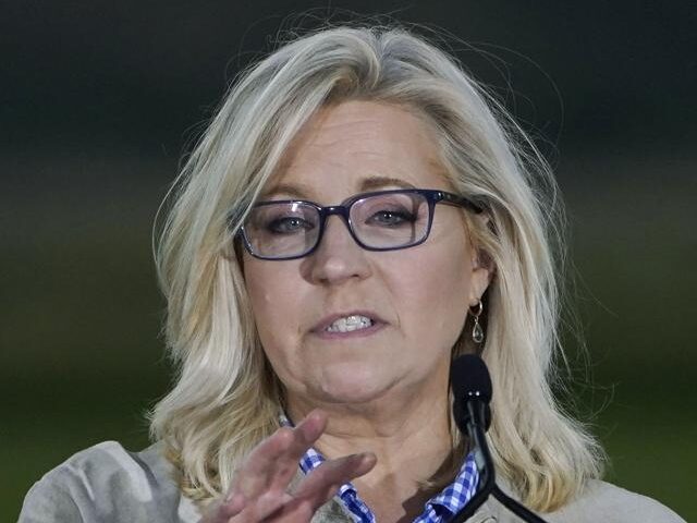 concession-speech-from-defeated-liz-cheney-640x480.jpg