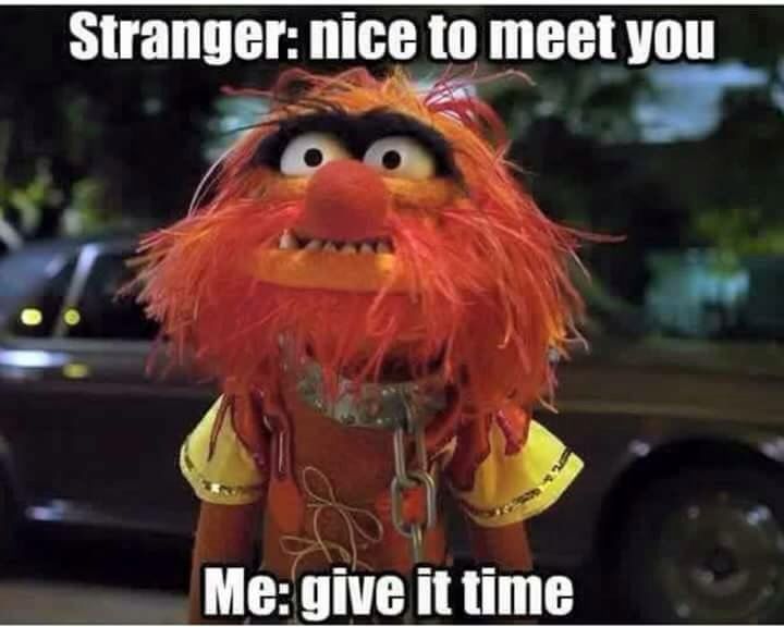 e9c52b90a9deacca44b2cf8d8006a366--animal-muppet-comedy.jpg