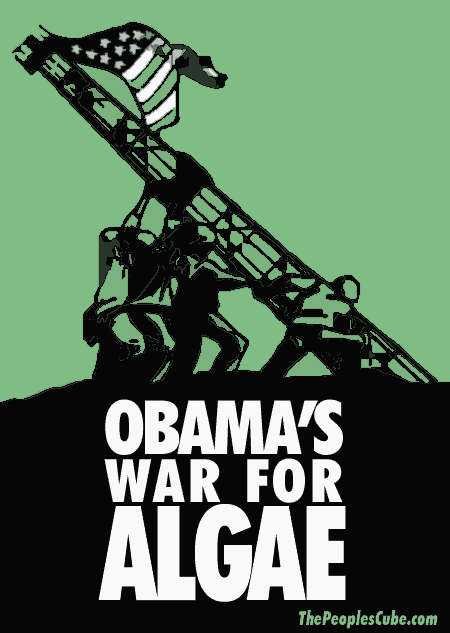 Algae_War_Obama.png