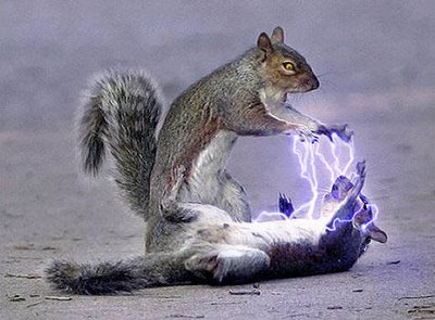 darthsquirrel.jpg