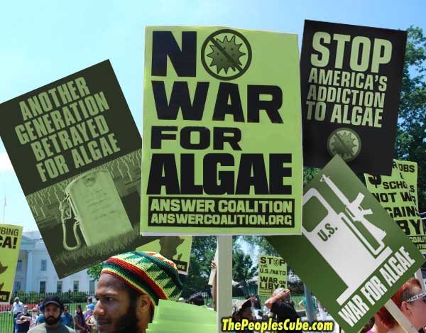 Algae_War_Protest.jpg