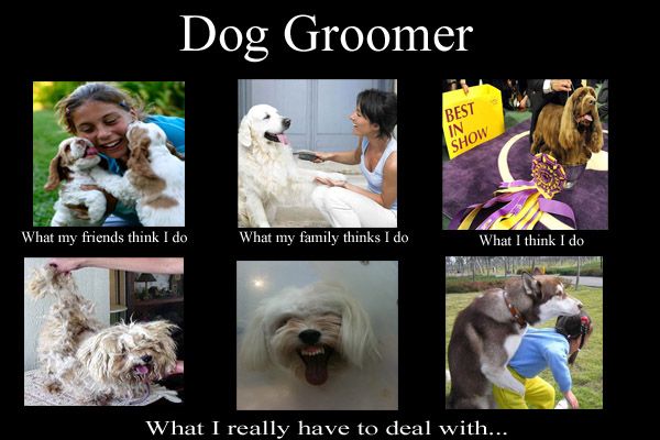 groomingmeme.jpg