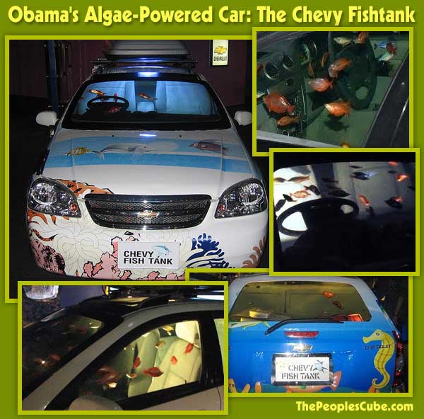 Chevy_FishTank_Algae_Fuel_O.jpg