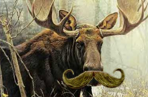 moostache.png