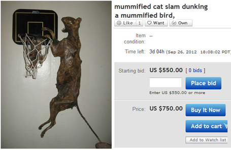 mummified-cat-1_medium.jpg