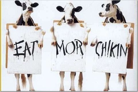 eat-mor-chikin.jpg