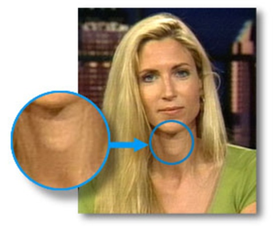 coulter-adams-apple.jpg