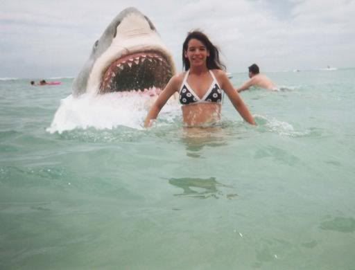 shark_attack_LOL.jpg