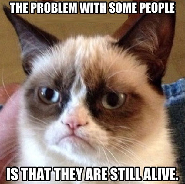 grumpy-cat-meme.jpg