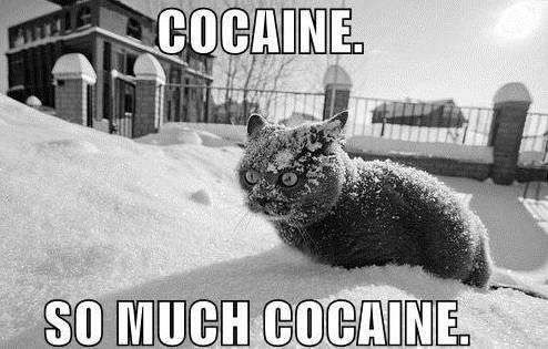 lolcat-snow.jpg