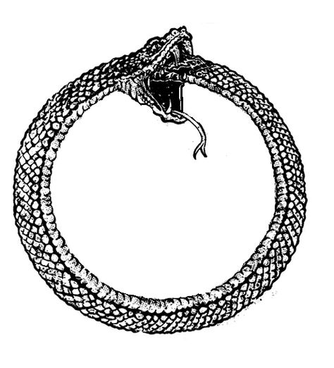 4741e938aa29c72f5a4e25db663f4e22--ouroboros-tattoo-tattoo-snake.jpg