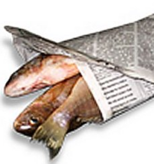 fish+wrap+paper.png