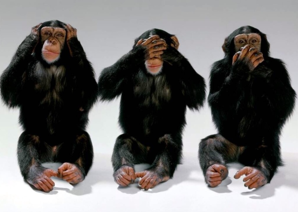 Three+Wise+Monkeys+Hear+No+Evil+See+No+Evil+Speak+No+Evil+Body+Language+Nonverbal+Communication+Expert+Expert+Speaker+Speaker+Dr+Jack+Brown+Dr+Jack+Brown+Las+Vegas+Southern+California.jpg