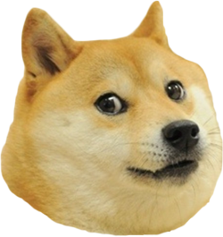 doge-head.png