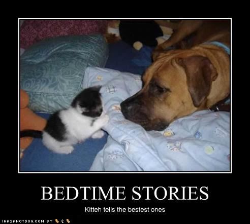 funny-dog-pictures-bedtime-stories.jpg