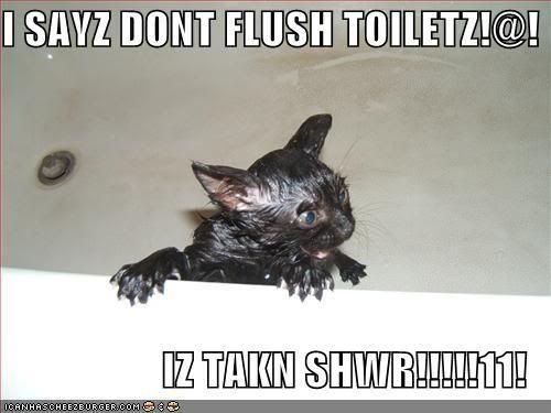 funny-pics-I-sayz-dont-flush.jpg