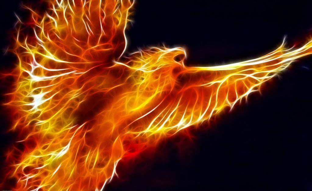 pheonix_zpsc956c81e.jpg