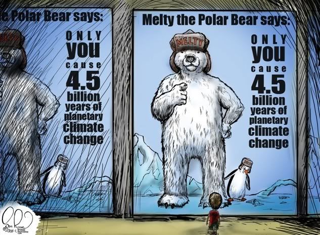 MeltyThePolarBear.jpg