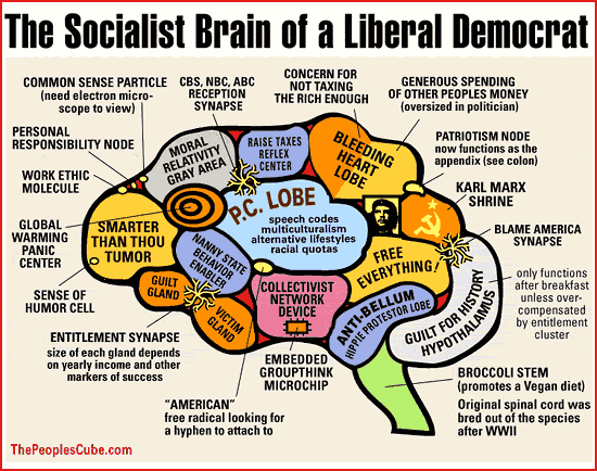 liberals-brain.gif