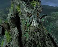 treebeard.jpg