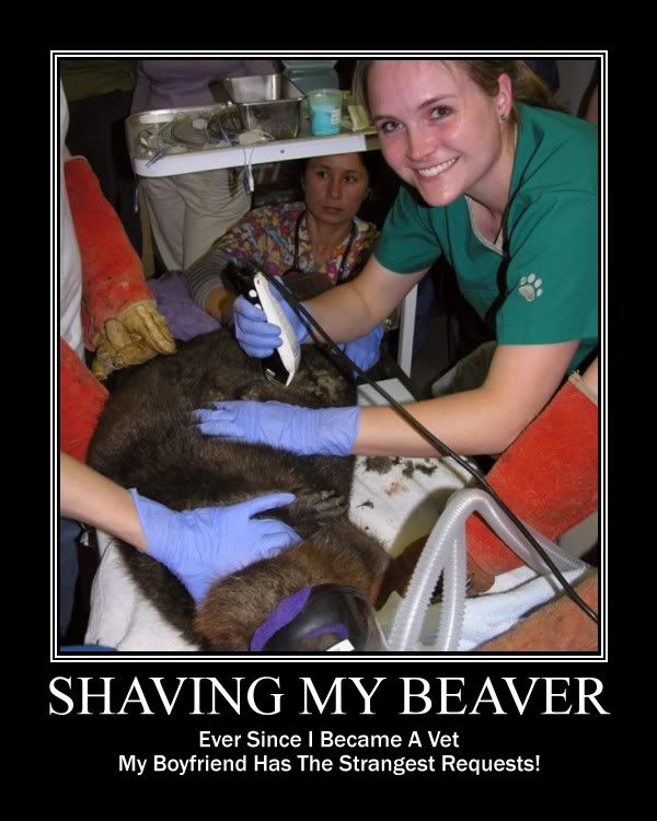 SHAVINGMYBEAVER.jpg