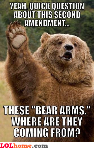 bear-arms.jpg