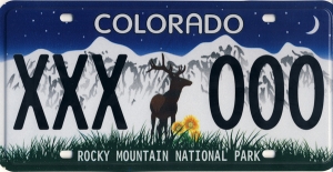 License-plate-web-300x155.jpg