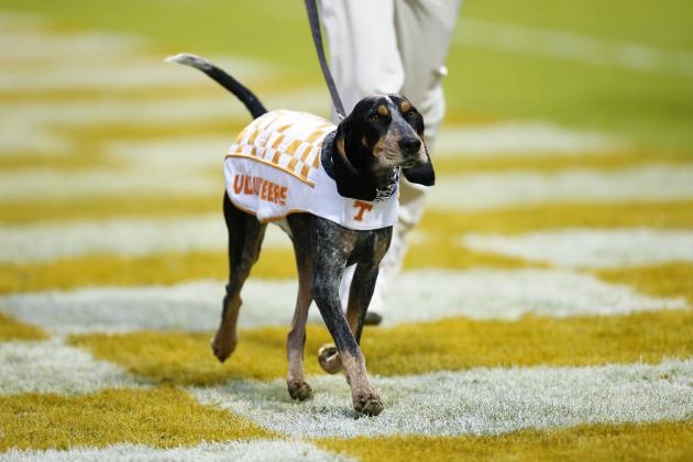 Ranking college football's 28 live dog mascots 