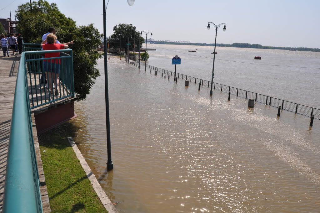 Memphis2011Flood40.jpg