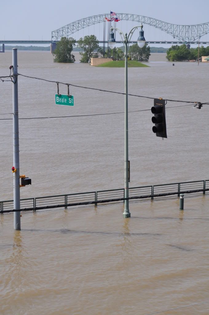 Memphis2011Flood59.jpg