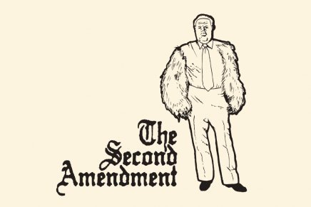 the-second-amendment-tshirt.jpg