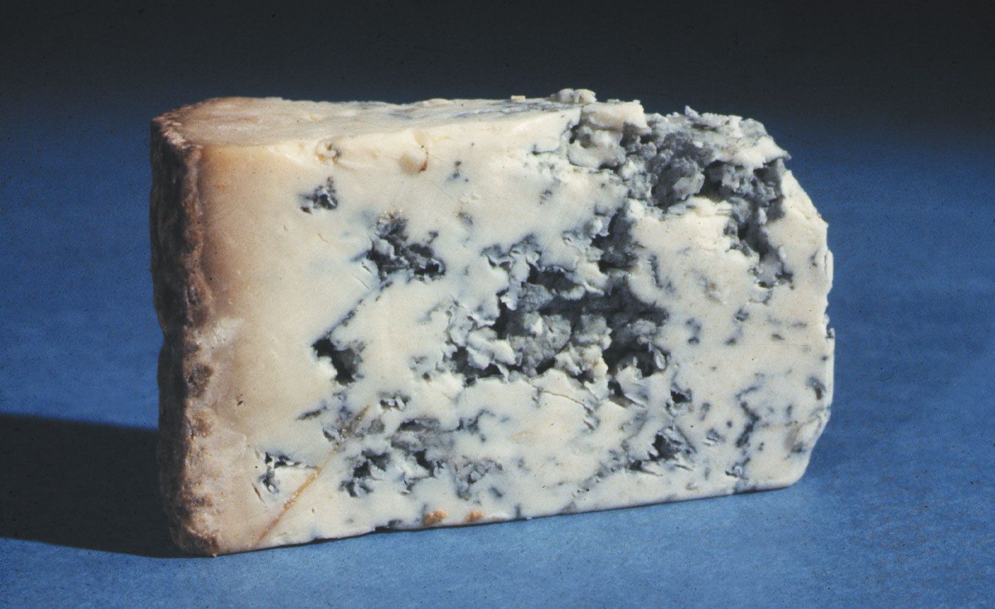 stilton-cheese.jpg