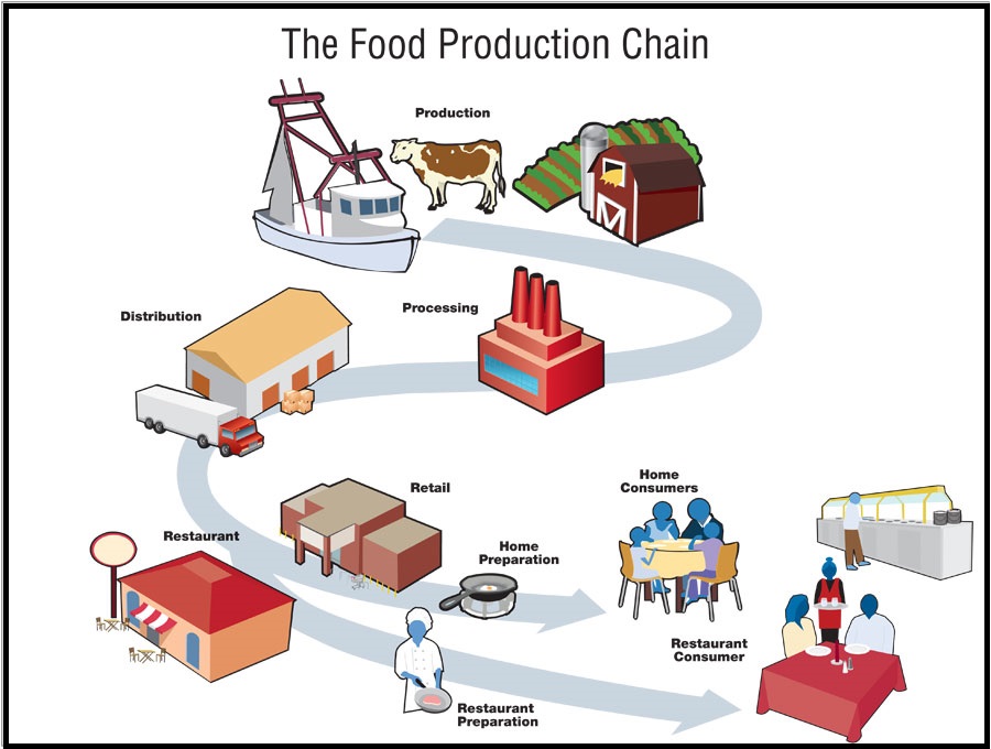 food-production-1.jpg