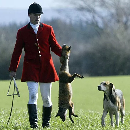 fox-hunting-pic-pa-161062217.jpg