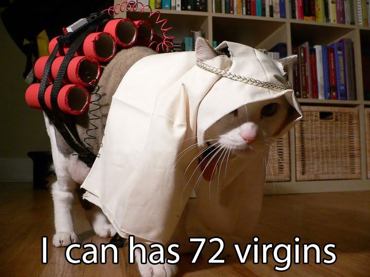 lolcat_terrorist.jpg