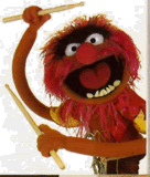 thmuppets-animal.gif