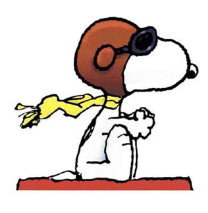 snoopy2.jpg