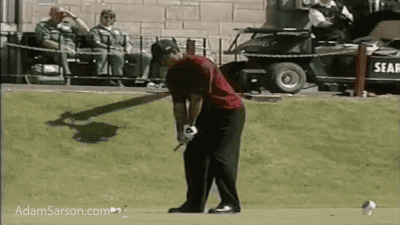 tiger-twirl-st-andrews.gif