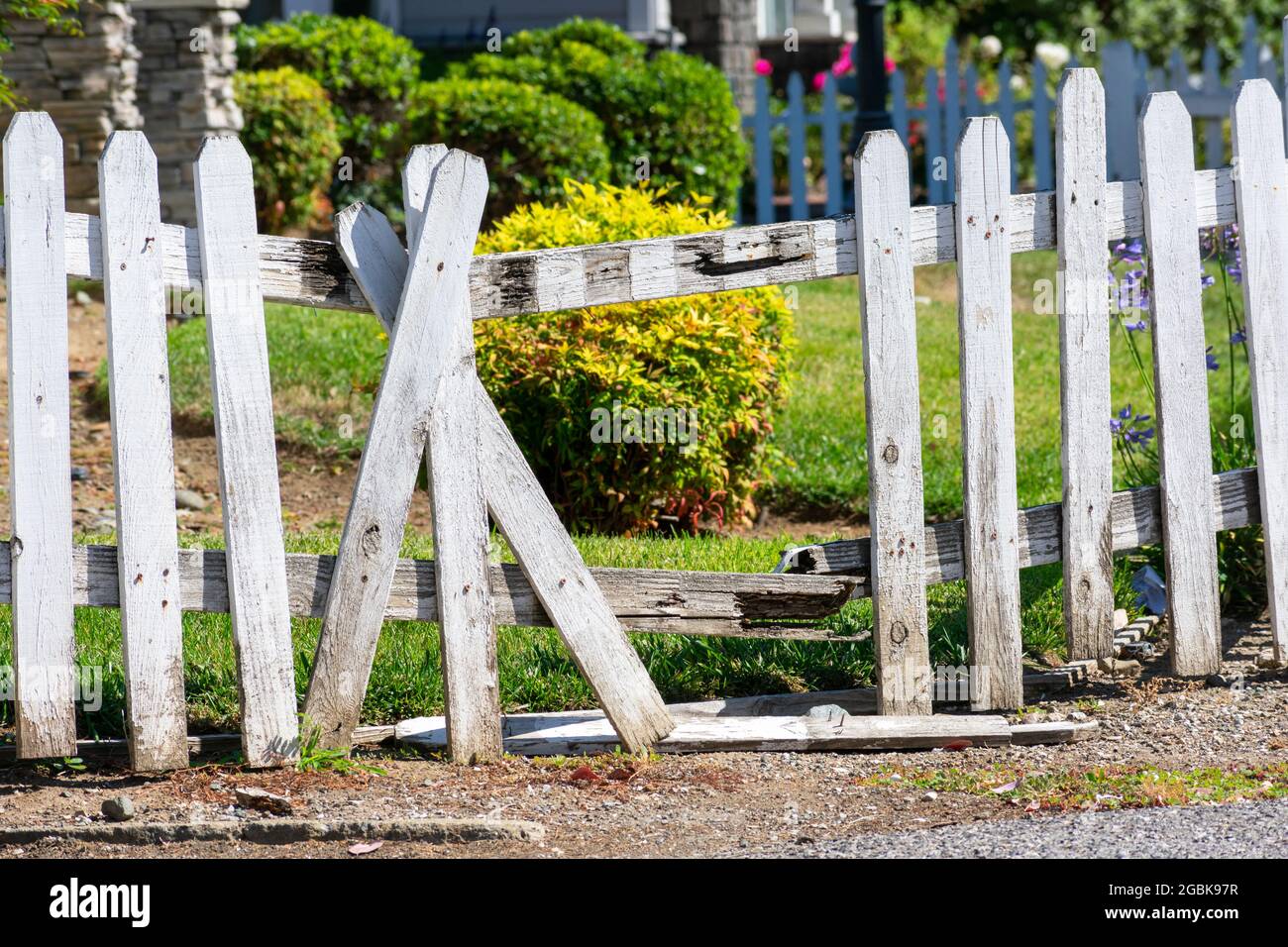 broken-fence-damaged-weathered-white-picket-fence-with-broken-rails-and-planks-in-residential-neighborhood-2GBK97R.jpg