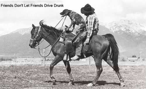 drunk_dog_on_horse.jpg