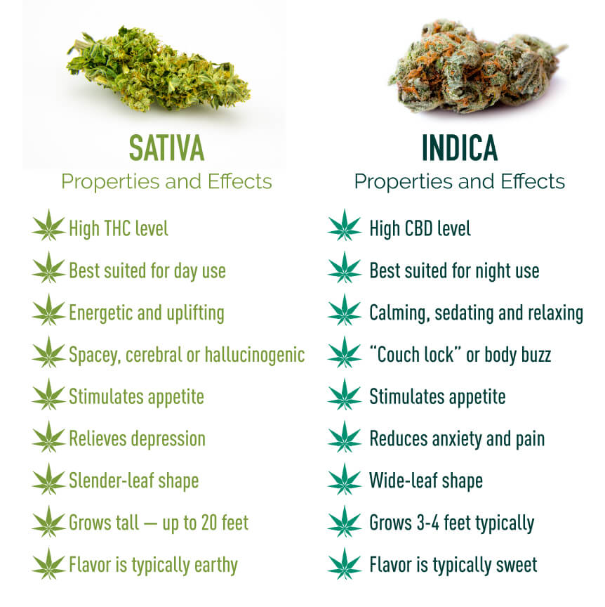 indica-sativa-properties.jpg