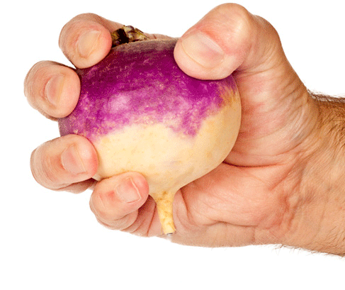turnip.gif