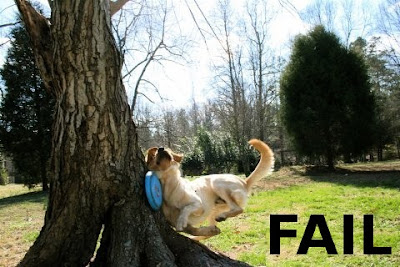 frisbee-fail.jpg