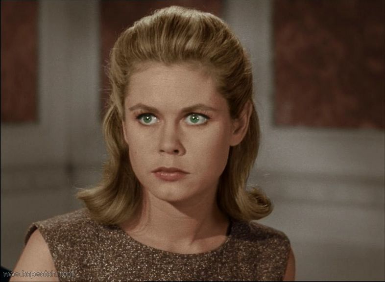 elizabeth_montgomery_bewitched_1.jpg