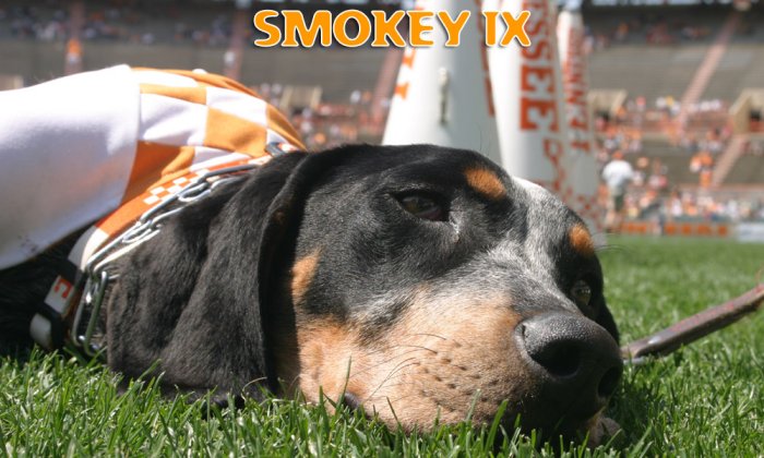 smokey.jpg