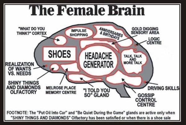 A-Women-Brain.jpg