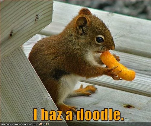 20080220-funny-pictures-squirrel-cheese-doodle.jpg