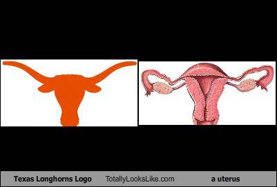 texas-longhorn-tll-uterus1.jpg