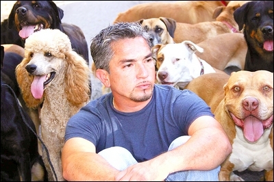 cesarmillan1.jpg